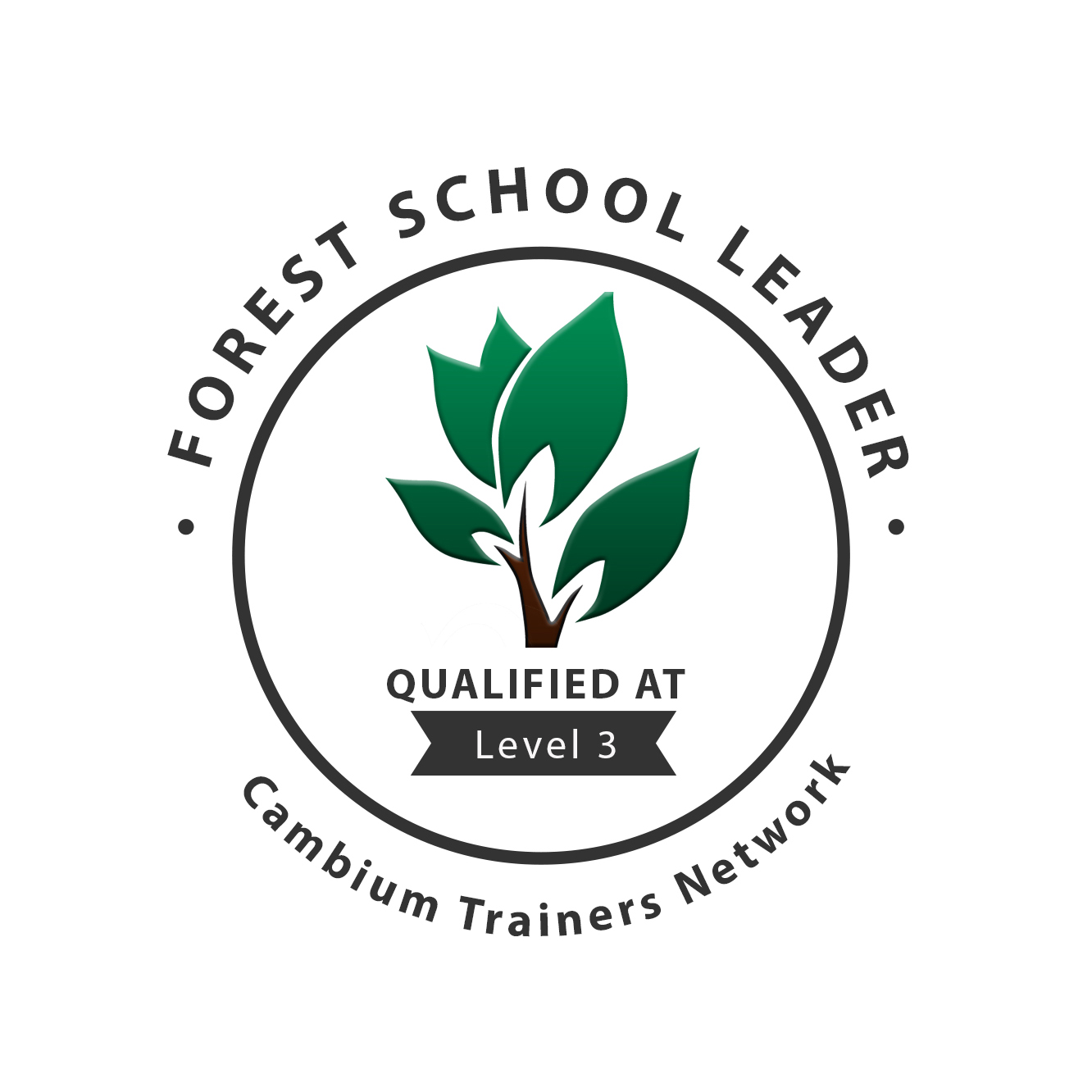 Level 3 FS Logo